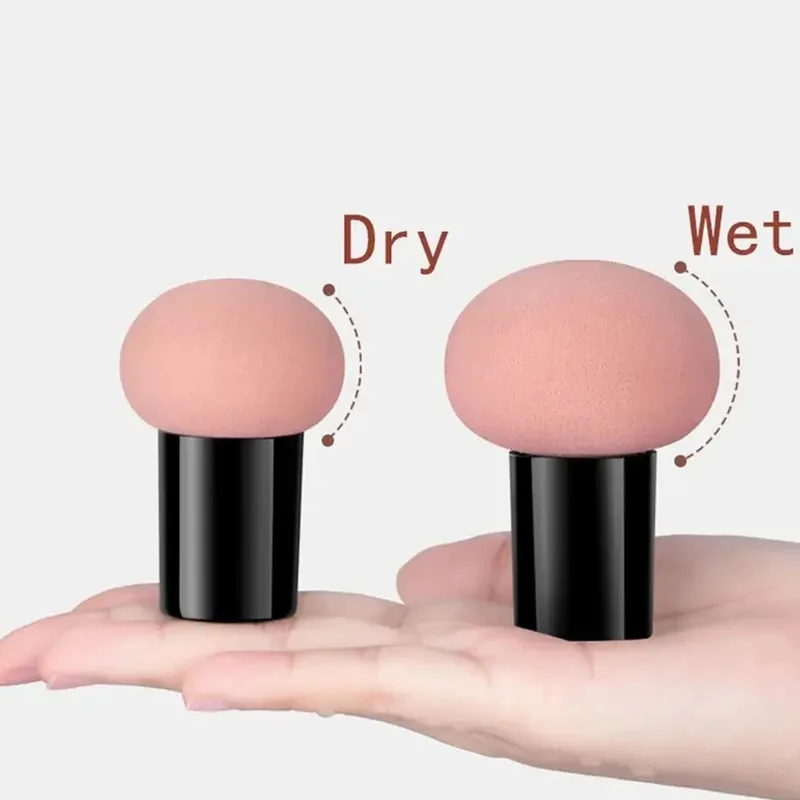 버섯 머리 메이크업 스폰지 드라이 습식 이중 용도 화장 - Beauty Makeup Tools Use 리뷰 및 가격