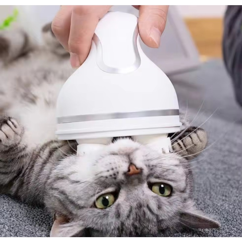 고양이 스마트 자동 실리콘 충전식 전동 머리 마사지기  - Hair Scalp Massager 리뷰 및 가격